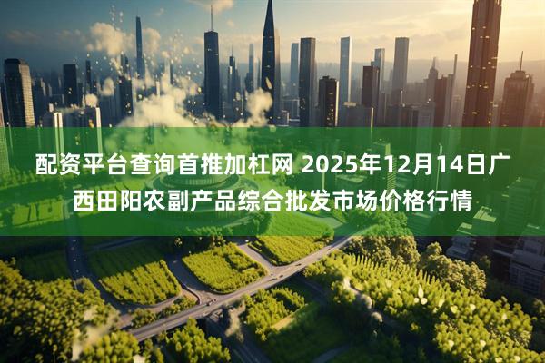 配资平台查询首推加杠网 2025年12月14日广西田阳农副产品综合批发市场价格行情
