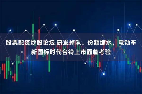 股票配资炒股论坛 研发掉队、份额缩水，电动车新国标时代台铃上市面临考验